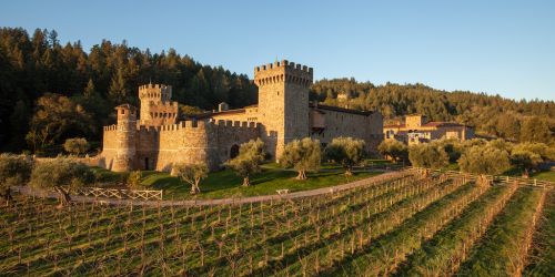 Castle amidst vineyards