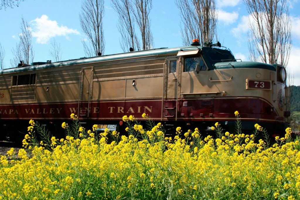 Wine Train passing through mustard plants