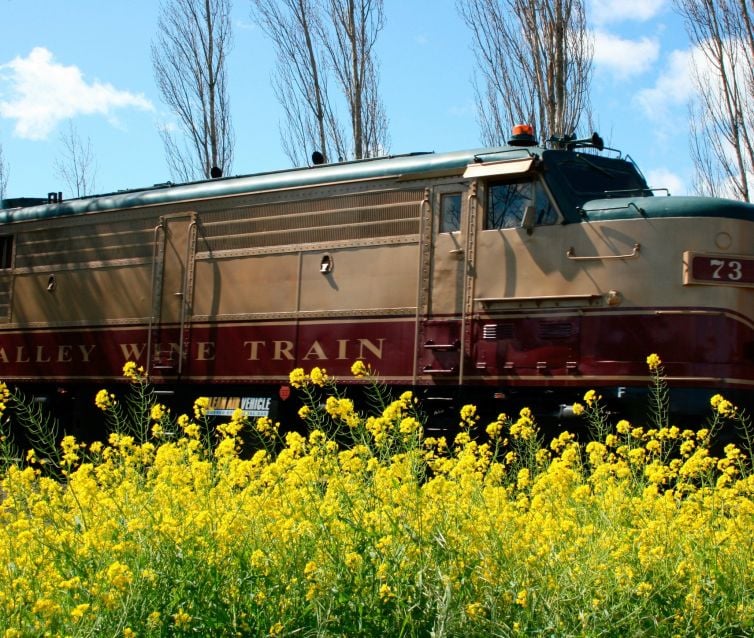 Wine Train passing through mustard plants