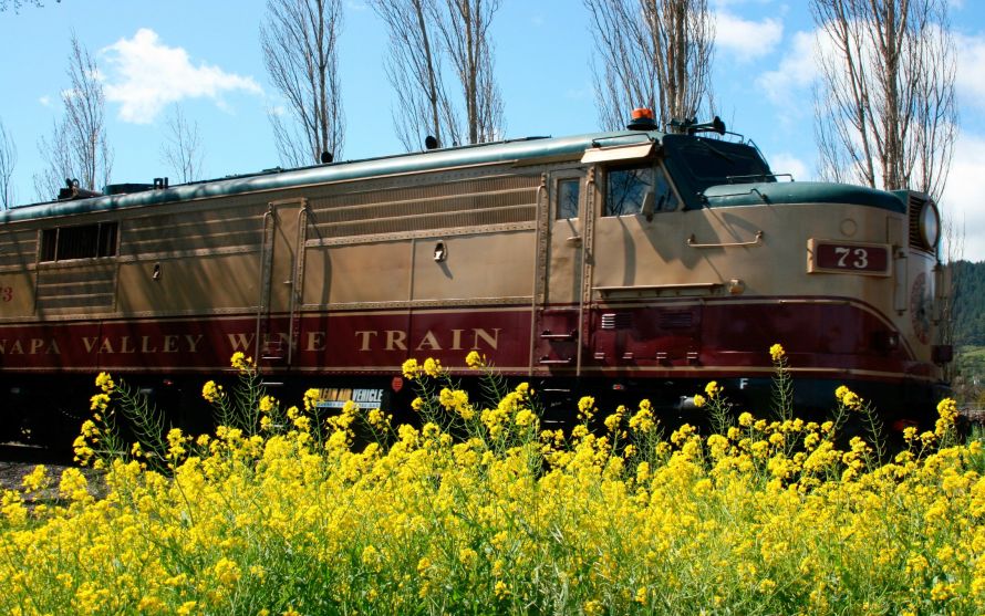 Wine Train passing through mustard plants