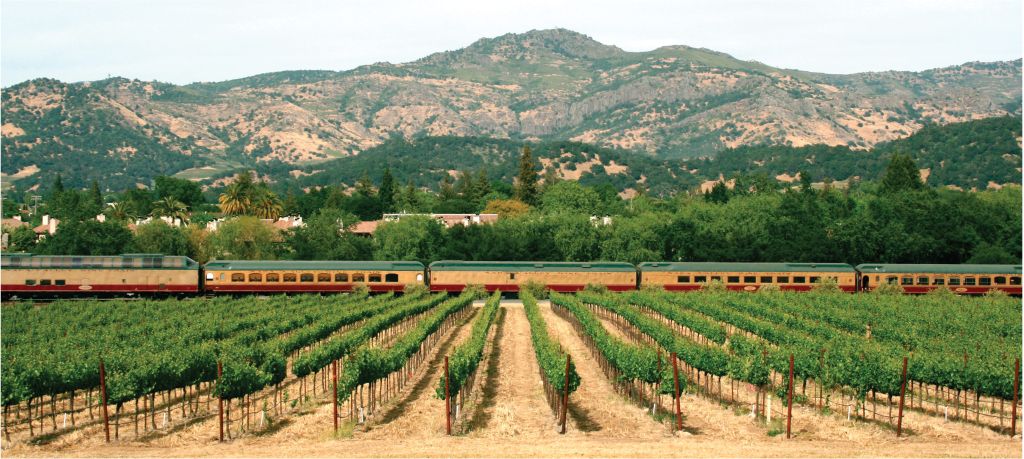 Fixed Train in Vineyards
