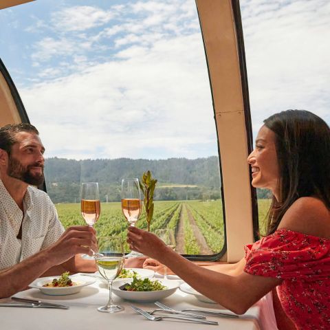 Couple raise their wine glasses in toast