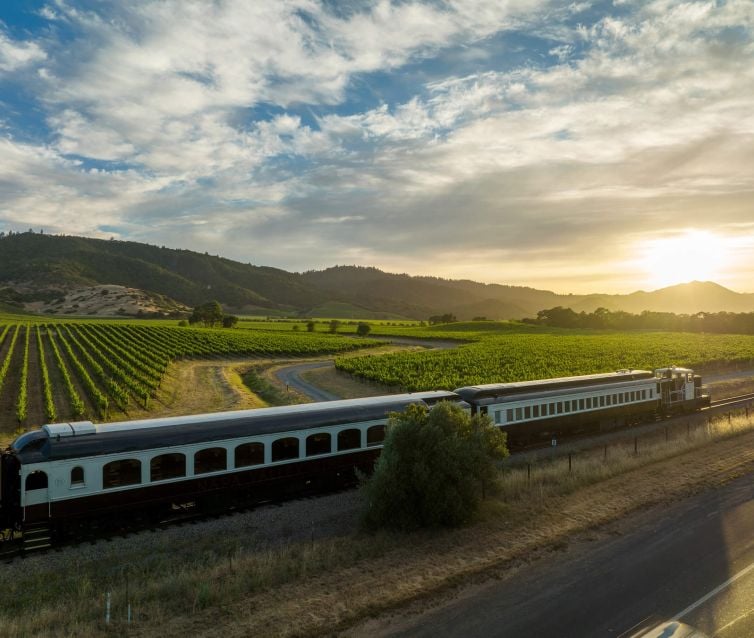 Wine Train in motion amongst vineyards reaching into the horizon