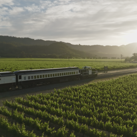 Wine Train passing through sea of green vineyards
