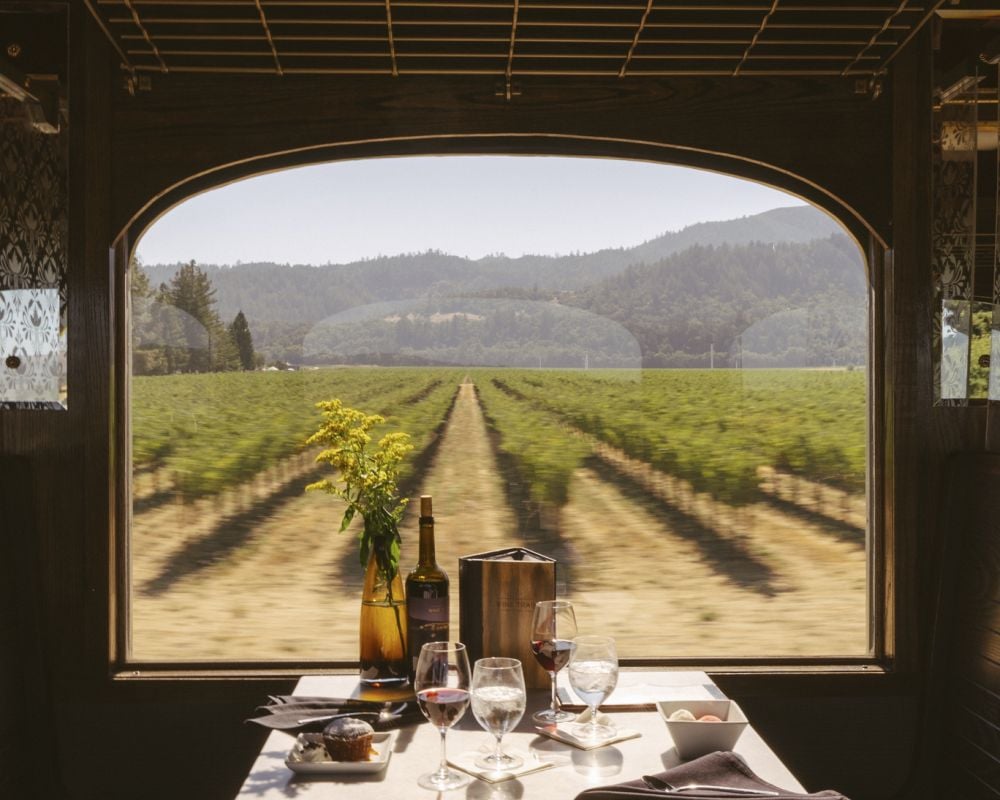 Looking out at vines from train car window
