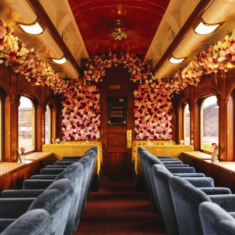The Love Line Napa Valley Wine Train Interior of the train