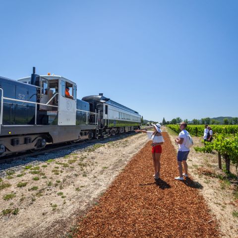 ride the wine train