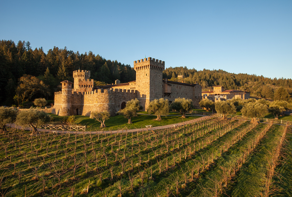 Castle amidst vineyards