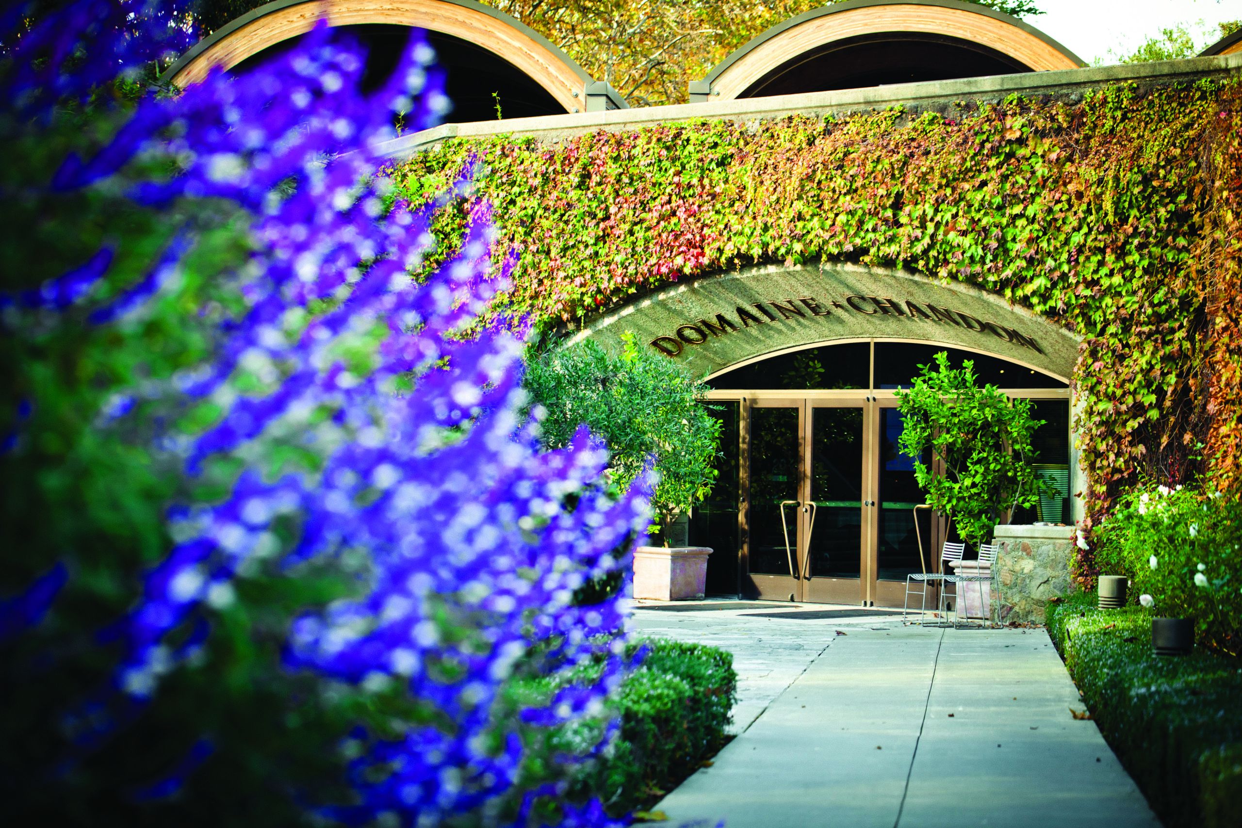 Domaine Chandon exterior
