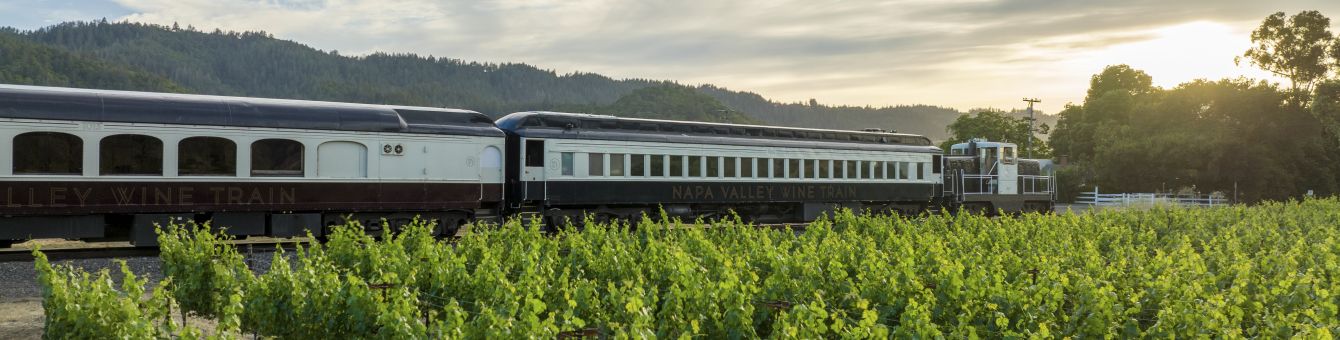 Wine Train passing by vineyards