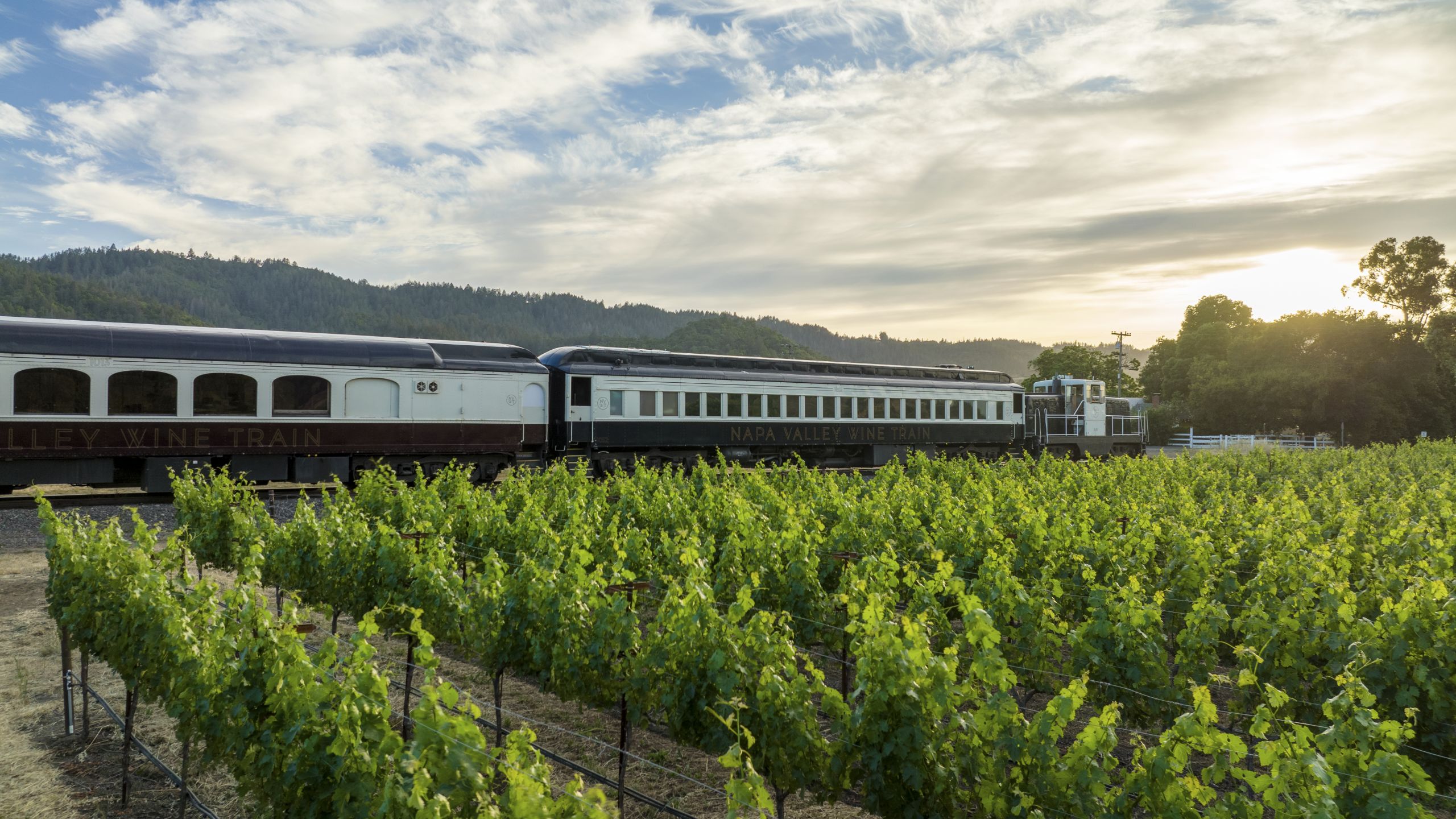 Wine Train passing by vineyards