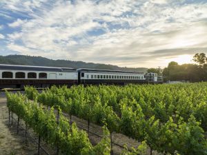 Wine Train passing by vineyards