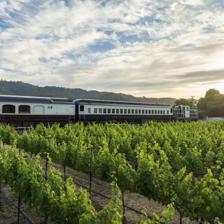 Wine Train passing by vineyards