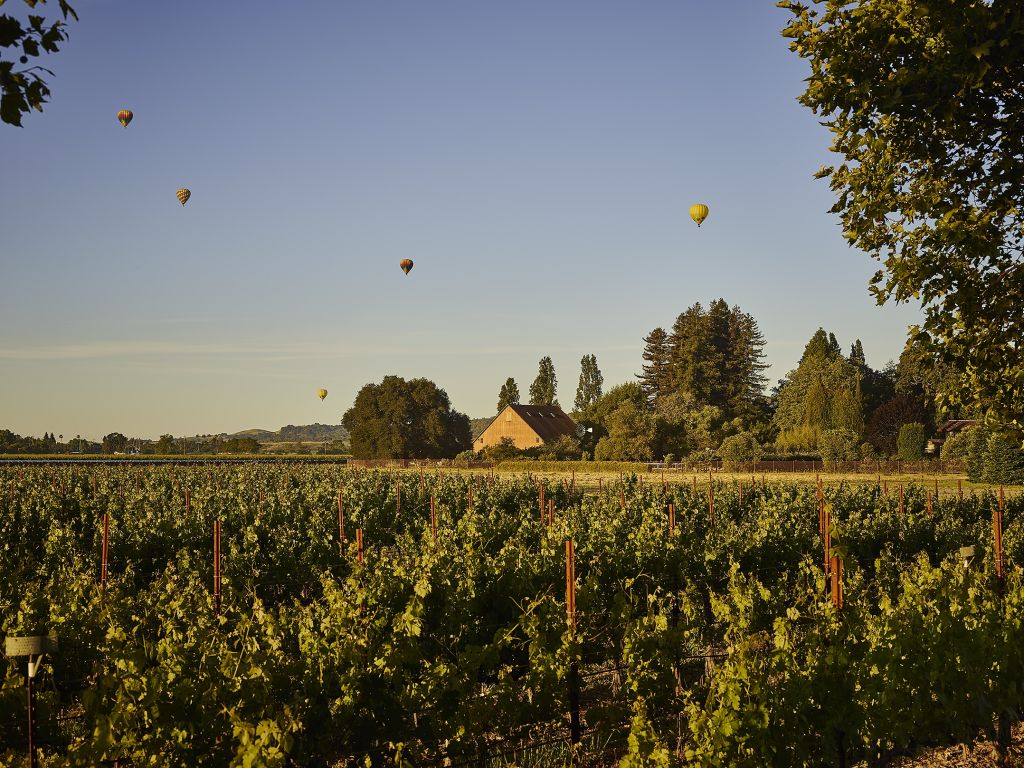 Hot air balloons flying over a vineyard in Napa Valley, California