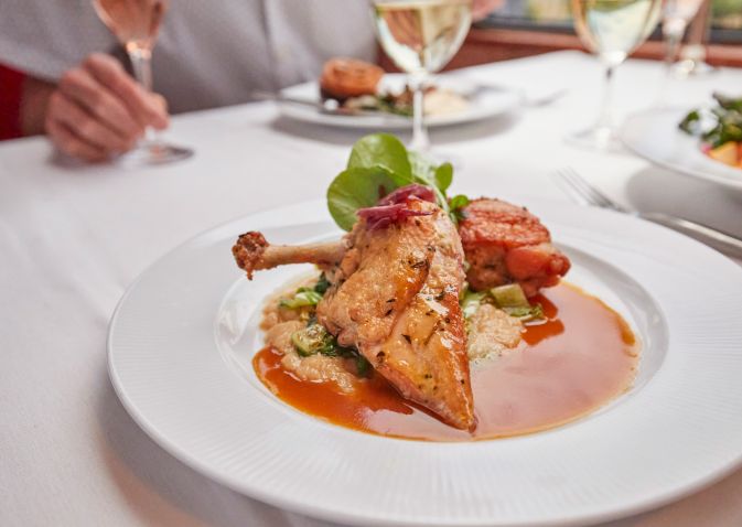 Professionally plated chicken