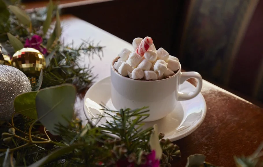 Hot chocolate in tea cup with marshmallows