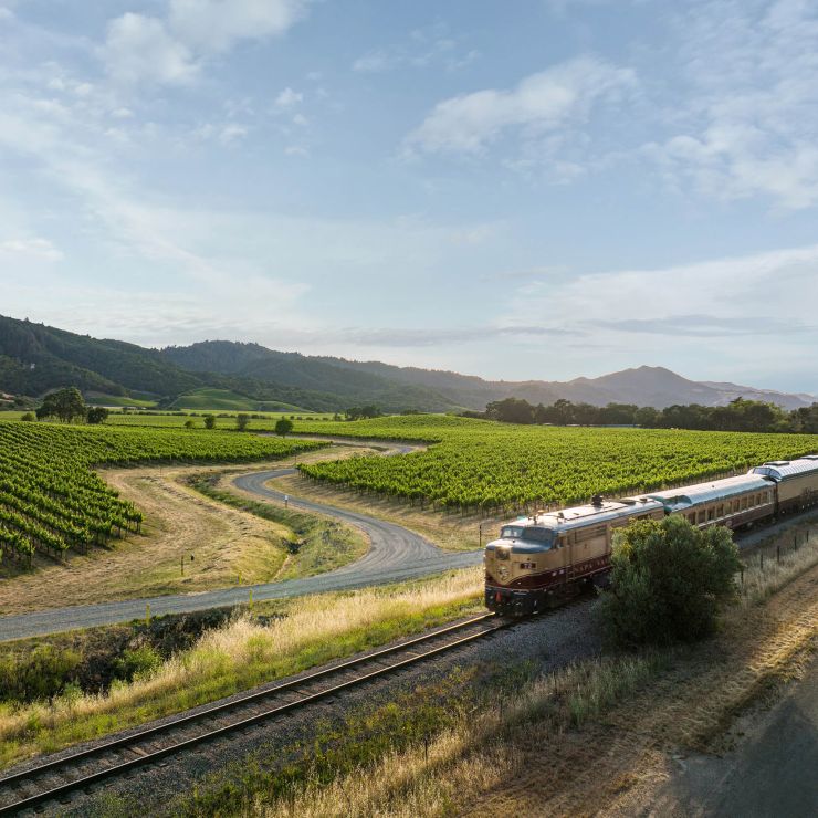 Aerial shot of Wine Train passing through Vineyards