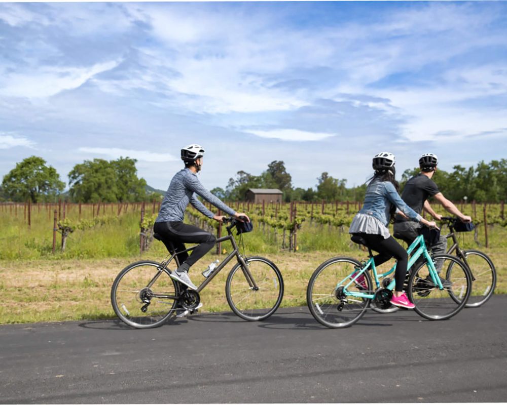 Bicyclists