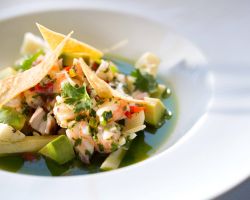 Orange Mojo Gulf Shrimp Ceviche