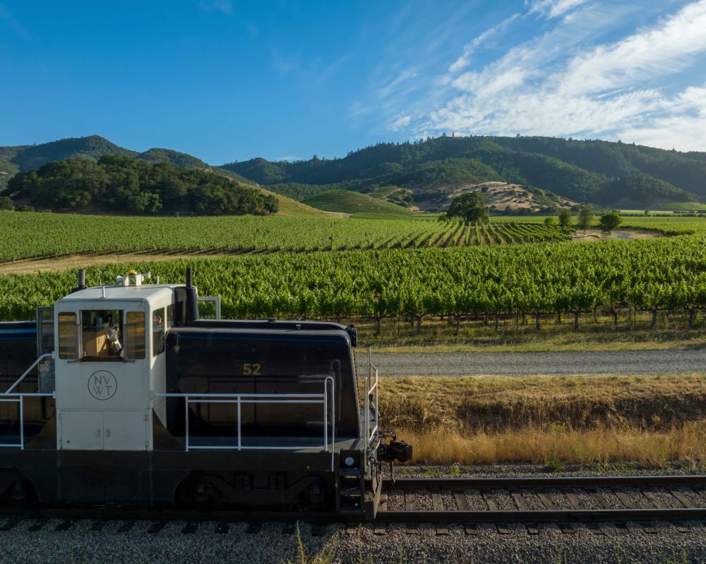 Napa Valley Wine Train backed by vineyards