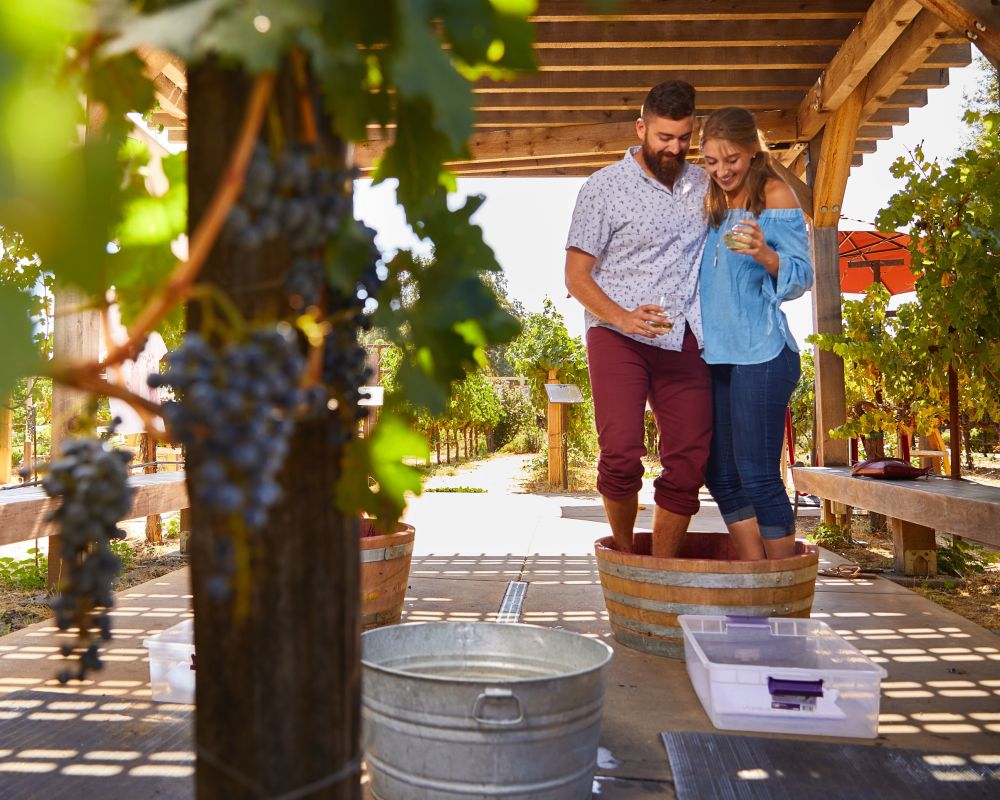 Couple stomping grapes