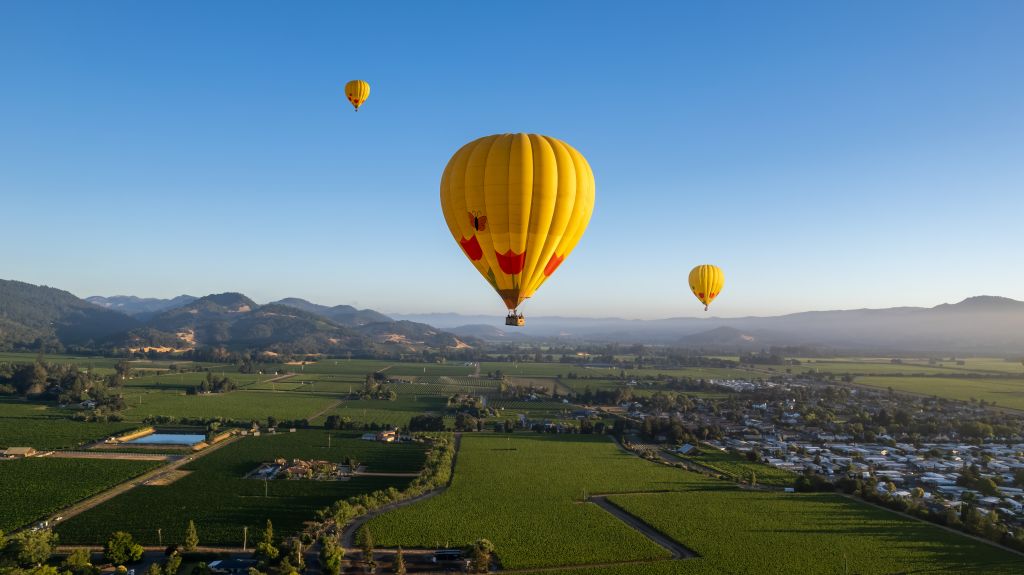 Hot air balloons fly over the vineyards