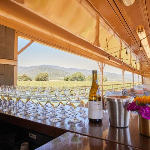 Wine glasses filled with white wine aligned in orderly rows