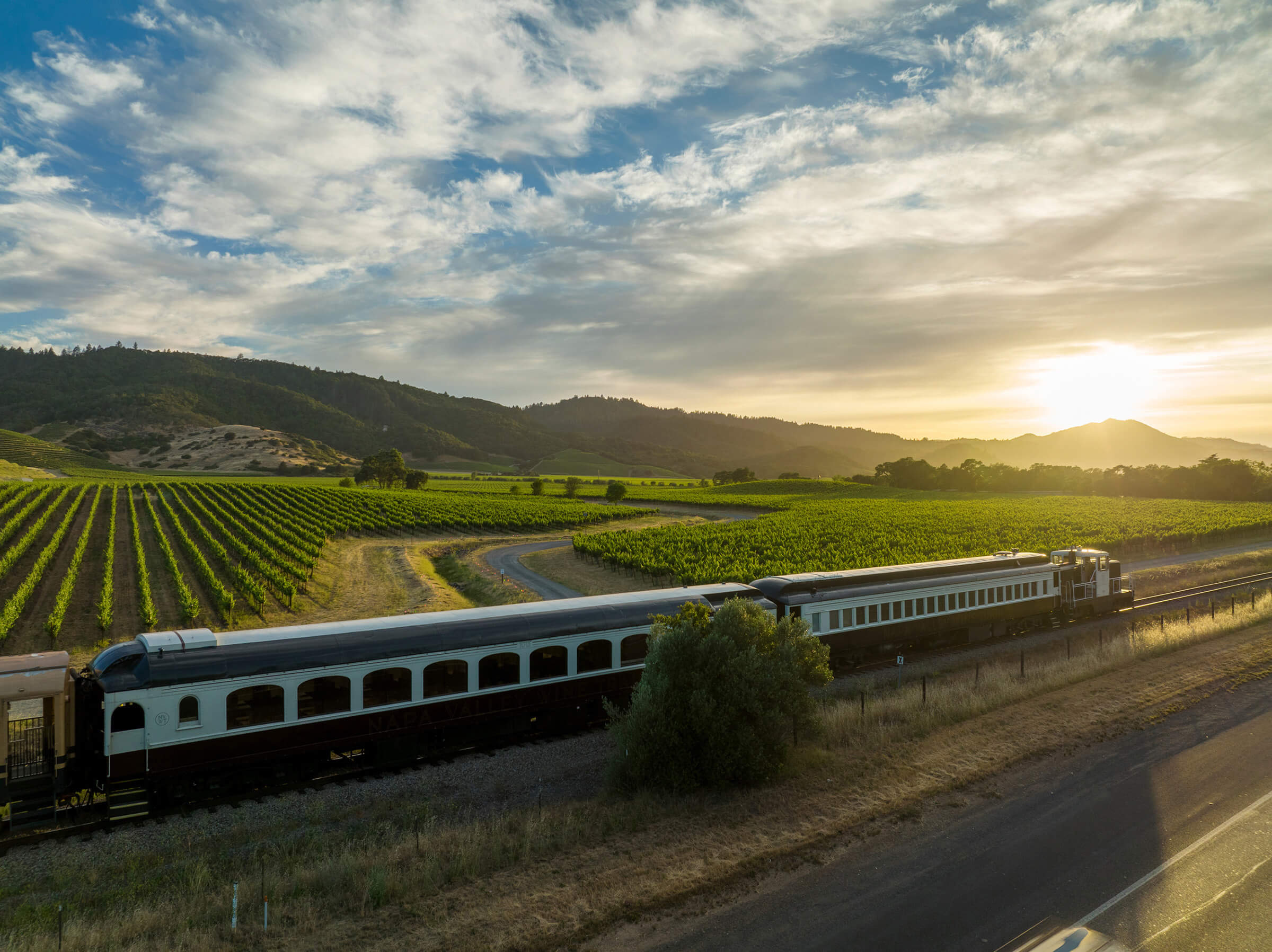 Wine Train in motion amongst vineyards reaching into the horizon